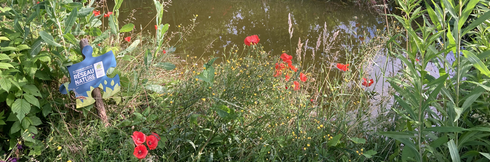 Jardin naturel (Gilles Cogneau)