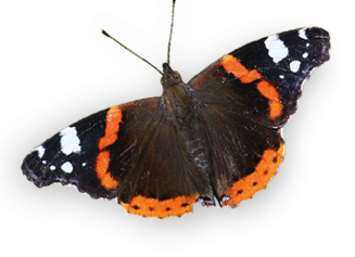 Vulcain